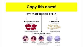 Year 10 GCSE | Biology | Components of Blood