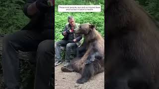 These kind people rescued an injured bear and nursed it back to health #animalshorts #bear