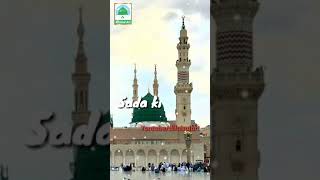 Ahmed Raza Qadri-Whatsapp islamic status best of 2019-12rabi ul Awal status alfaisalart instagram dp