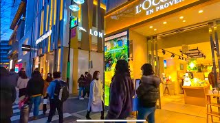 Evening walk Harajuku Tokyo   原宿　 GoPro HERO 11【 4K】