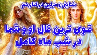 شاینی و مرلین در کنار هم -  قوی ترین فال او و شما در شب ماه کامل 😳 @merlintarott