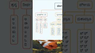 ಕನ್ನಡ ವರ್ಣಮಾಲೆಯಲ್ಲಿ ಎಷ್ಟು ಅಕ್ಷರಗಳಿವೆ?
