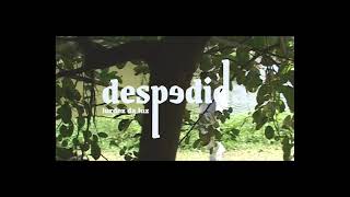 Lurdez Da Luz - DESPEDIDA