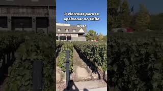 3 vinícolas para se apaixonar no Chile