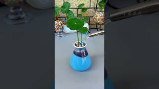 Plants Flower In Cup Color So Beautiful Put at home #plants #shortvideo #flower