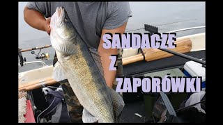 Trudne sandacze z zaporówki. Sati pozamiatał...