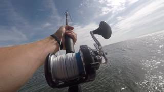 Inshore Fishing Hilton Head South Carolina