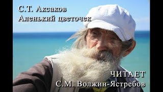 С.Т. Аксаков "Аленький цветочек". Ч.2. Читает С.М. Волжин-Ястребов