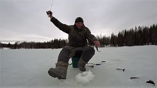 Рыбалка закрытие сезона твёрдой воды.Часть вторая.