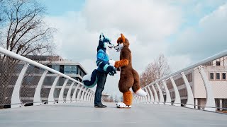 Fursuit photoshoot in Hradec Králové