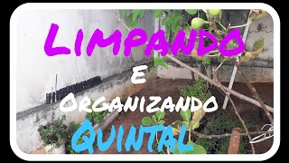 Limpando e Organizando Quintal (Mostrando as plantinhas).