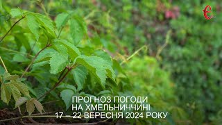 Прогноз погоди на 17 - 22 вересня 2024 року в Хмельницькій області від Є ye.ua