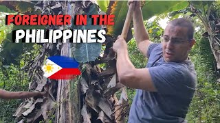 How Foreigner Harvest Banana in the Philippines