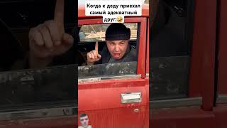 К деду приехал друг