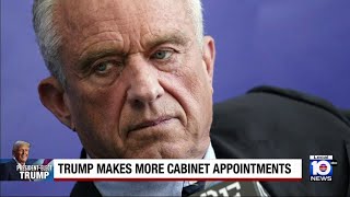 Trump makes cabinet appointments from Mar-a-Lago