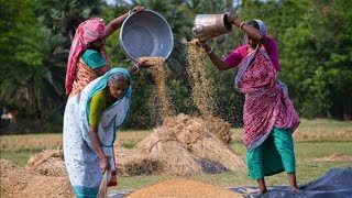 Village and nature of Bangladesh ||  বাংলাদেশের গ্রাম ও প্রকৃতি