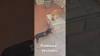 Problemas vecinales