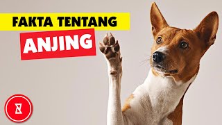 Fakta Tentang Anjing | Fakta Hewan Yang Harus Anda Ketahui | Saluran Fakta | Ingin Tahu?