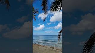 Seychelles, the Paradise Island, Empty secluded beach! #beach #paradise #ocean