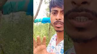 নদীতে তুমুল ঝড়ের মুখে আমরা #sundarbanriver #sundorbon #youtubeshorts #jharkhaliriver  #viralvideo