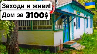 🇺🇦 Заходи и живи! Дом в селе за 3100$ Продажа недвижимости за копейки! Всё есть Уютное тихое село!