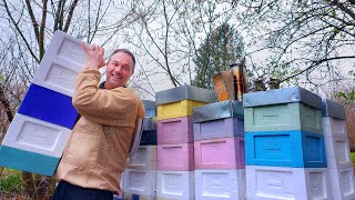 Conseils pour agrandir vos ruchettes Mini-Plus sans risque de refroidissement - Apiculture S04E02