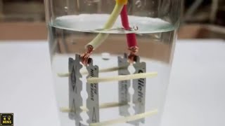 Life hacks amazing video|mind blowing experiments