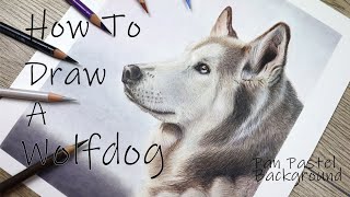 How do draw a WOLFDOG in COLOR PENCIL! Loki tutorial!!