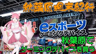 秋葉原でゲーミングデバイスを買うならここで決まり！【秋葉原週末紀行32回・アナスタシア】