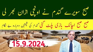 Wheat Price in Punjab Pakistan 2024