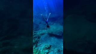 Snorkeling on the Island of Malta