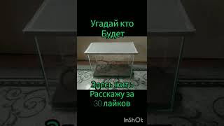 #кто?#подпишись если хочешь узнать кто🤨🙀😨😰😱