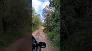 Você passaria nesta estrada com esta ponte sem medo? Coisas do Interior do Rio Grande do Sul #travel