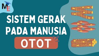 Part 3 Sistem gerak pada manusia | Otot - Biologi