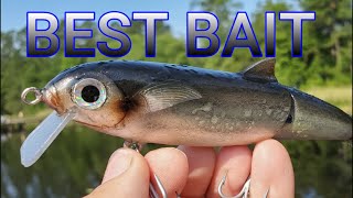 How to  Make a wooden Crankbait That Looks Like a Mullet  #Luremaking  #fishinglure #lurefishing