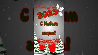 С новым годом 2023! #новыйгод2023 #сновымгодом2023