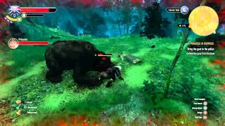 The Witcher 3 100% Walkthrough Part 16  Ps4  Xbox One  PC