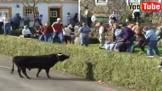 Best funny video Most of the bullfighting awesome - Funny Crazy bull failed