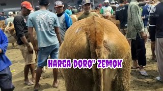 harga doro" pasar sapi Kabuh jombang