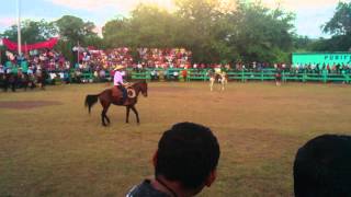 caballos bailando el pezuñas de oro en fiestas patronales 2012