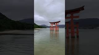 厳島神社大鳥居　2023年5月28日＃厳島神社