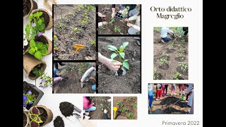 GREEN SCHOOL  Scuola Primaria Magreglio