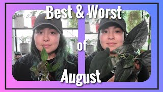 August | Best & Worst