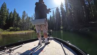 Beautiful Morning On Bucks Lake