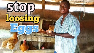 Why you need a nesting box in your farm | chicken farming.