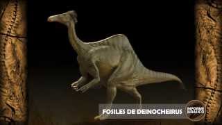 Fosiles de Deinocheirus | Informe Jurasico