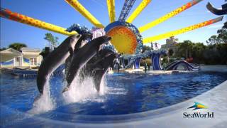 Seaworld Florida 2013 Promotional Video