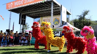 Lion Dance (舞狮) by Honor Kong Fu Academy, Opening Ceremony of Elk Grove Cultural Festival