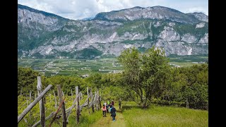 A spasso nel tempo - Klinger Winery