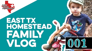 The boys use our crazy long driveway every day | East Texas Homestead Vlog 001 | #EastTexasHomestead